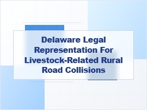 Delaware Legal Help for Livestock Road Collisions