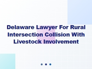 Delaware Lawyer for Rural Intersection Collisions Involving Livestock